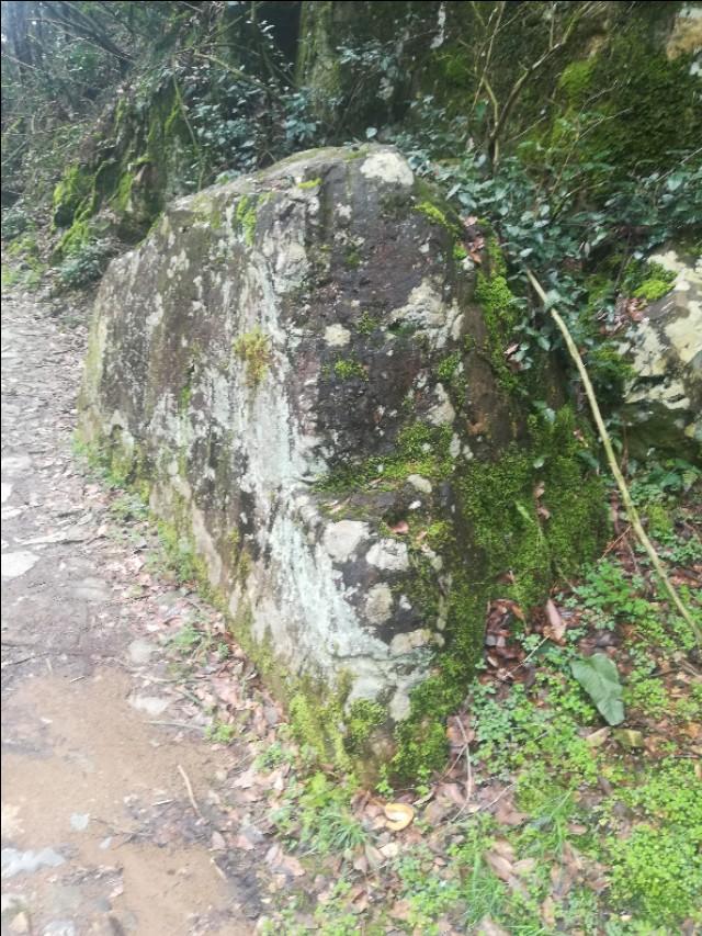 揭秘四不像劉伯溫一肖圖——探尋背后的神秘故事與SEO奧秘，揭秘四不像劉伯溫一肖圖背后的神秘故事與SEO奧秘探索