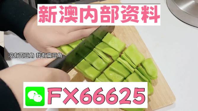 新澳精選資料免費(fèi)提供，探索優(yōu)質(zhì)資源的海洋，新澳精選資料免費(fèi)探索，優(yōu)質(zhì)資源海洋的開啟