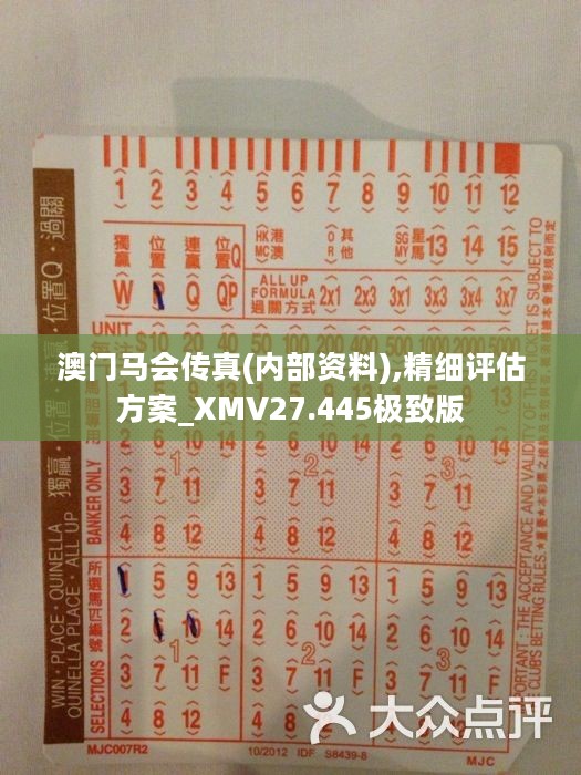 馬會(huì)傳真正版，探索正版馬會(huì)文化的魅力與價(jià)值，正版馬會(huì)文化的魅力與價(jià)值探索