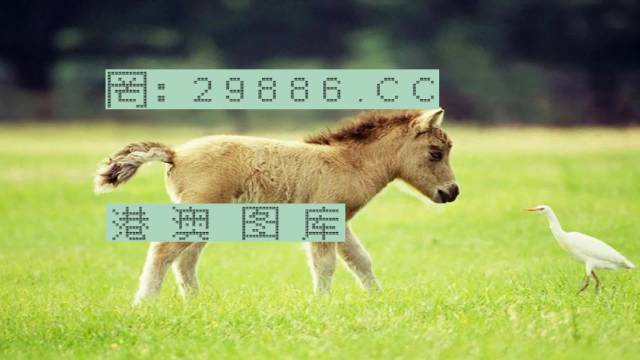 王中王4887中特一肖