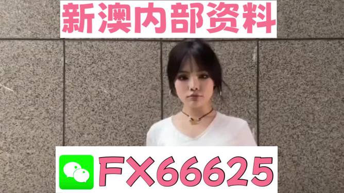 澳門正版資料大全完整版，探索與揭秘2025年澳門正版資料的世界，澳門正版資料大全揭秘，探索未來至2025年的奧秘世界