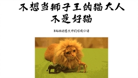 王中王013期指一生肖——探尋背后的秘密與奧秘，王中王013期生肖揭秘，探尋背后的秘密與奧秘之旅