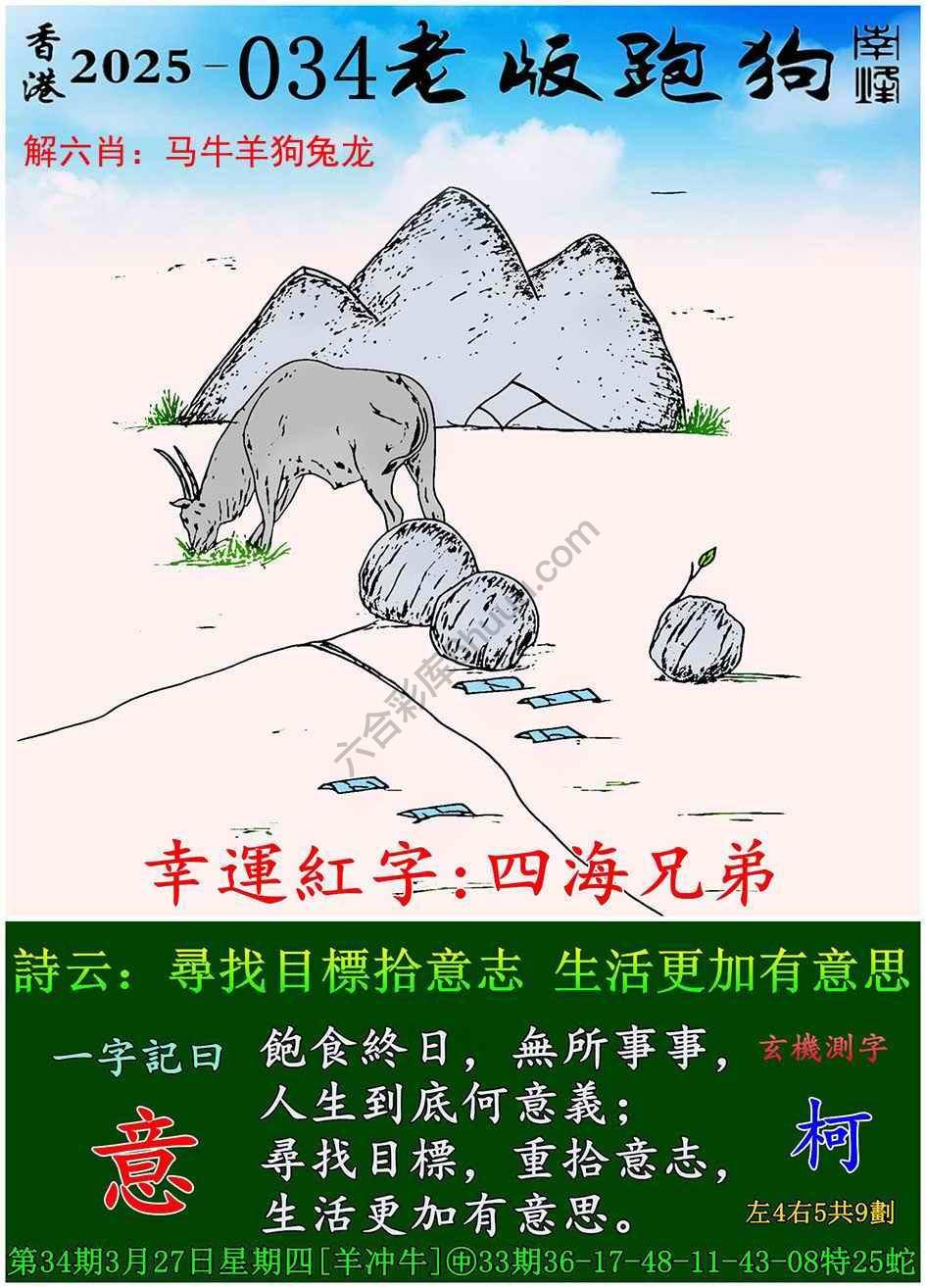 全新升級！探索7777788888新版跑狗資料，全新升級！探索跑狗資料7777788888新版揭秘