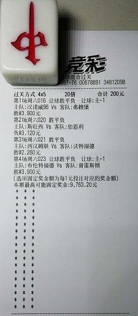揭秘買一肖中獎的賠率與風險，你真的準備好了嗎？，揭秘買一肖中獎背后的賠率與風險，你真的做好準備了嗎？