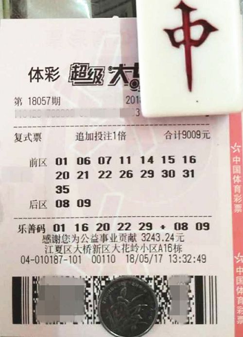 澳門六開彩天天開獎結果查詢，輕松掌握最新動態，澳門六開彩最新開獎結果查詢，輕松掌握每日動態