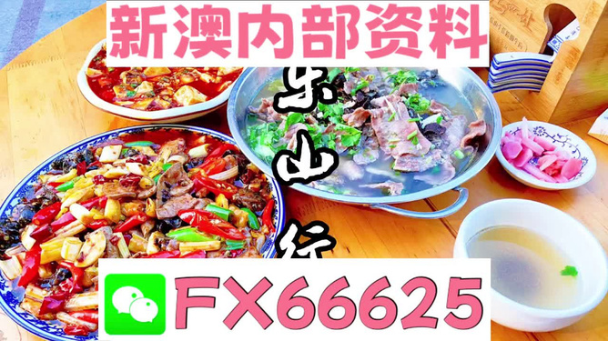 新澳全年免費資料大全——探索與學習的不竭源泉，新澳全年免費資料大全，無盡的學習資源寶庫