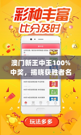 王中王藏寶閣猜一肖，揭秘背后的秘密與SEO策略，王中王藏寶閣猜一肖背后的秘密與SEO策略揭秘