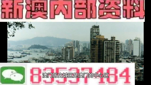 澳門全年最全免費(fèi)資料大全，探索無盡的資源寶庫，澳門全年免費(fèi)資料寶庫，探索無盡資源之旅