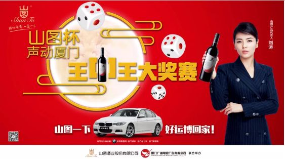 揭秘王中王背后的故事，從肖中的視角看其在SEO領域的輝煌成就，肖中視角下的王中王，SEO領域的輝煌成就揭秘