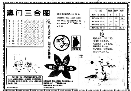 王中王資料一肖中特官婆，深度解析與SEO優化策略，王中王資料一肖中特官婆深度解析與SEO優化策略探討