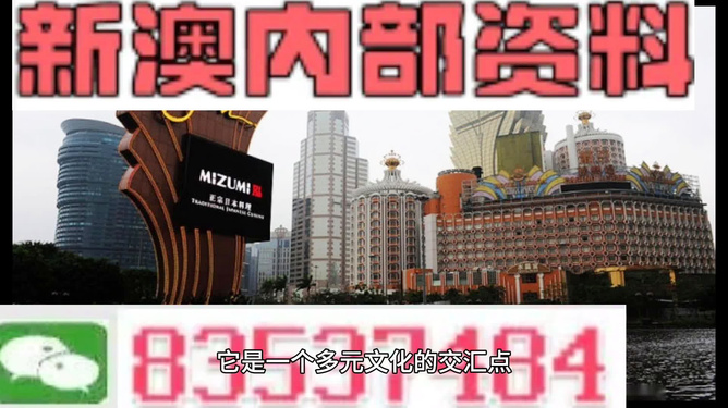 新澳門單雙網站，探索其魅力與優勢，澳門單雙網站魅力與優勢探索