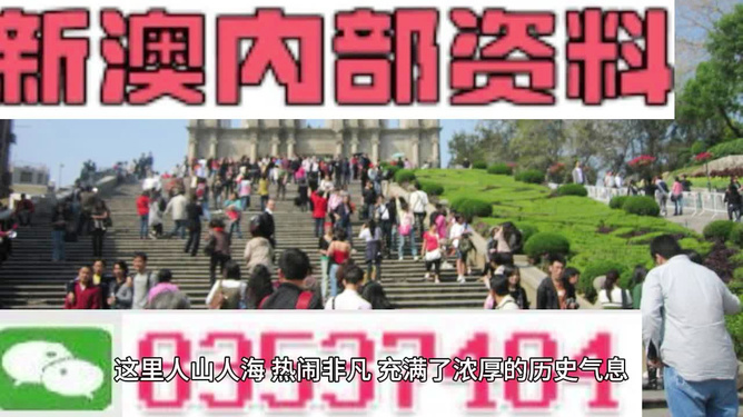 澳門最精準免費資料大全旅游團，探索澳門之旅的完美選擇，澳門最精準免費資料大全旅游團，探索澳門之旅的不二之選