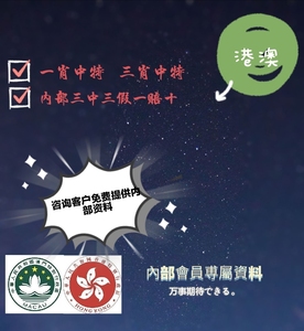 揭秘香港王中王，探尋肖中特背后的秘密，揭秘香港王中王背后的秘密與肖中特真相探索
