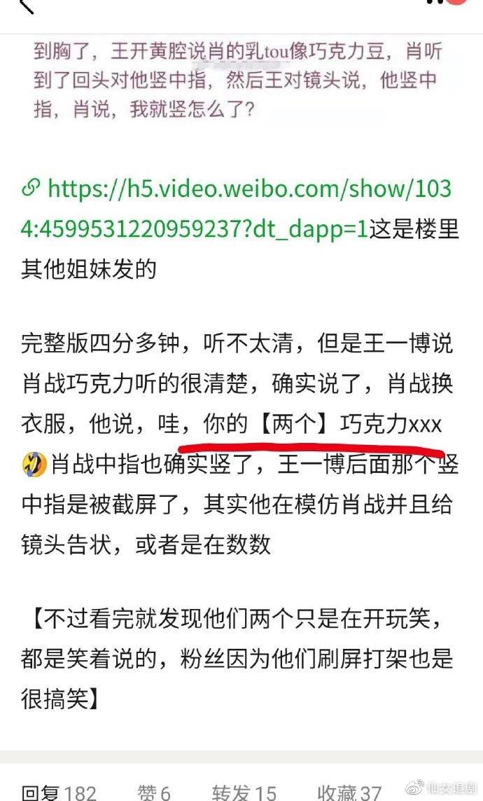 王中王一肖中特公開(kāi)資料，深度解析與SEO優(yōu)化探討，王中王一肖中特資料深度解析與SEO優(yōu)化探討