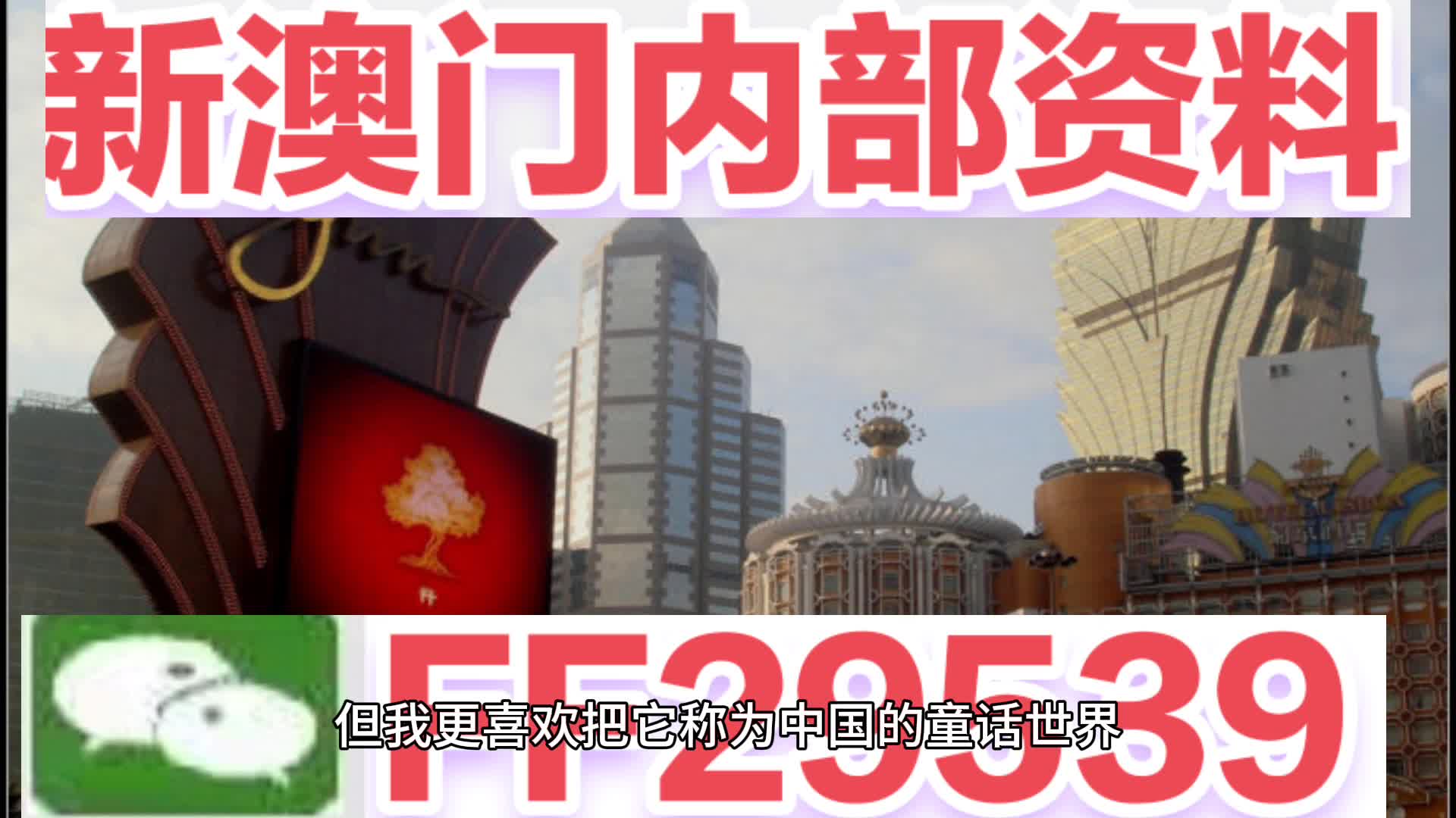 新澳門精準四肖期期中特公開，探索與揭秘，澳門精準四肖期期中特揭秘與探索公開版