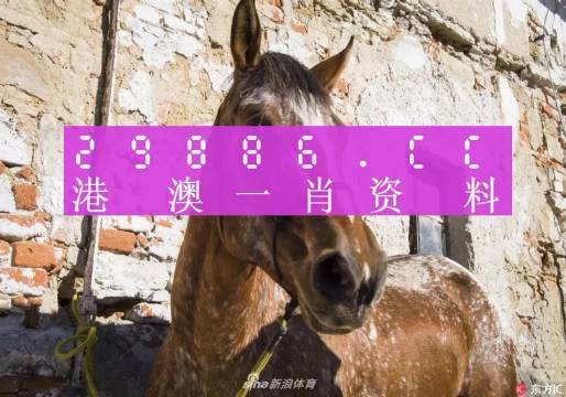 王中王資料一門肖中，深度解析與探索，王中王資料一門肖詳解，深度解析與探索