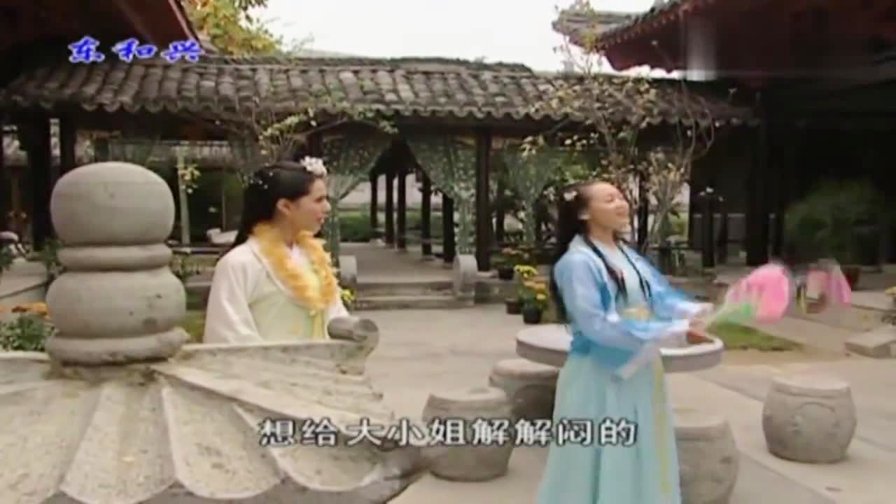 劉伯溫白小姐一肖期期準，神秘預測背后的真相，劉伯溫白小姐生肖預測揭秘，神秘預測背后的真相