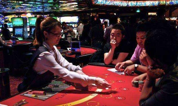 澳門金牛王中王一肖，探索背后的神秘與魅力，澳門金牛王中王一肖，神秘魅力背后的探索