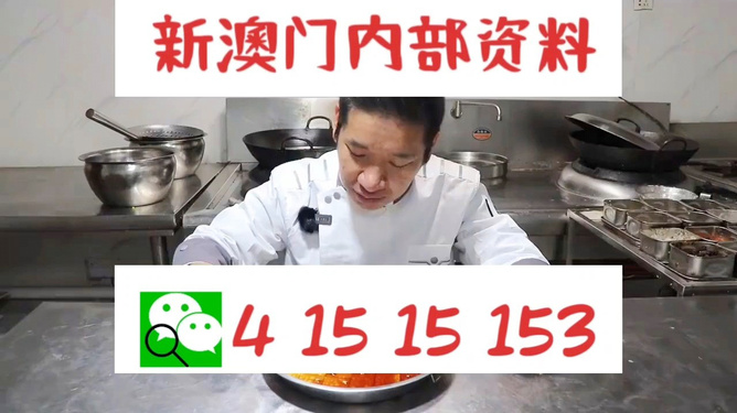管家婆一肖資料大全，深度解析與探索，管家婆一肖資料深度解析與探索大全