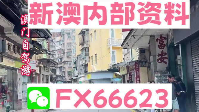 新澳精準(zhǔn)資料免費提供，探索與實踐的指南，新澳精準(zhǔn)資料免費分享，探索與實踐的導(dǎo)航指南