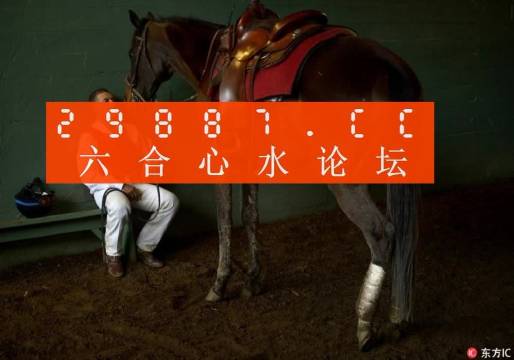 一肖一馬王中王一馬中特，深度解析與SEO優(yōu)化策略，一肖一馬王中王深度解析與SEO優(yōu)化策略探討