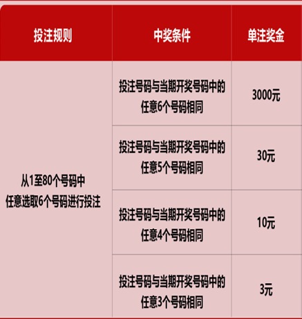 新澳門六開彩天天免費開獎結果，揭秘彩票背后的秘密，揭秘新澳門六開彩背后的秘密，天天免費開獎結果一網打盡