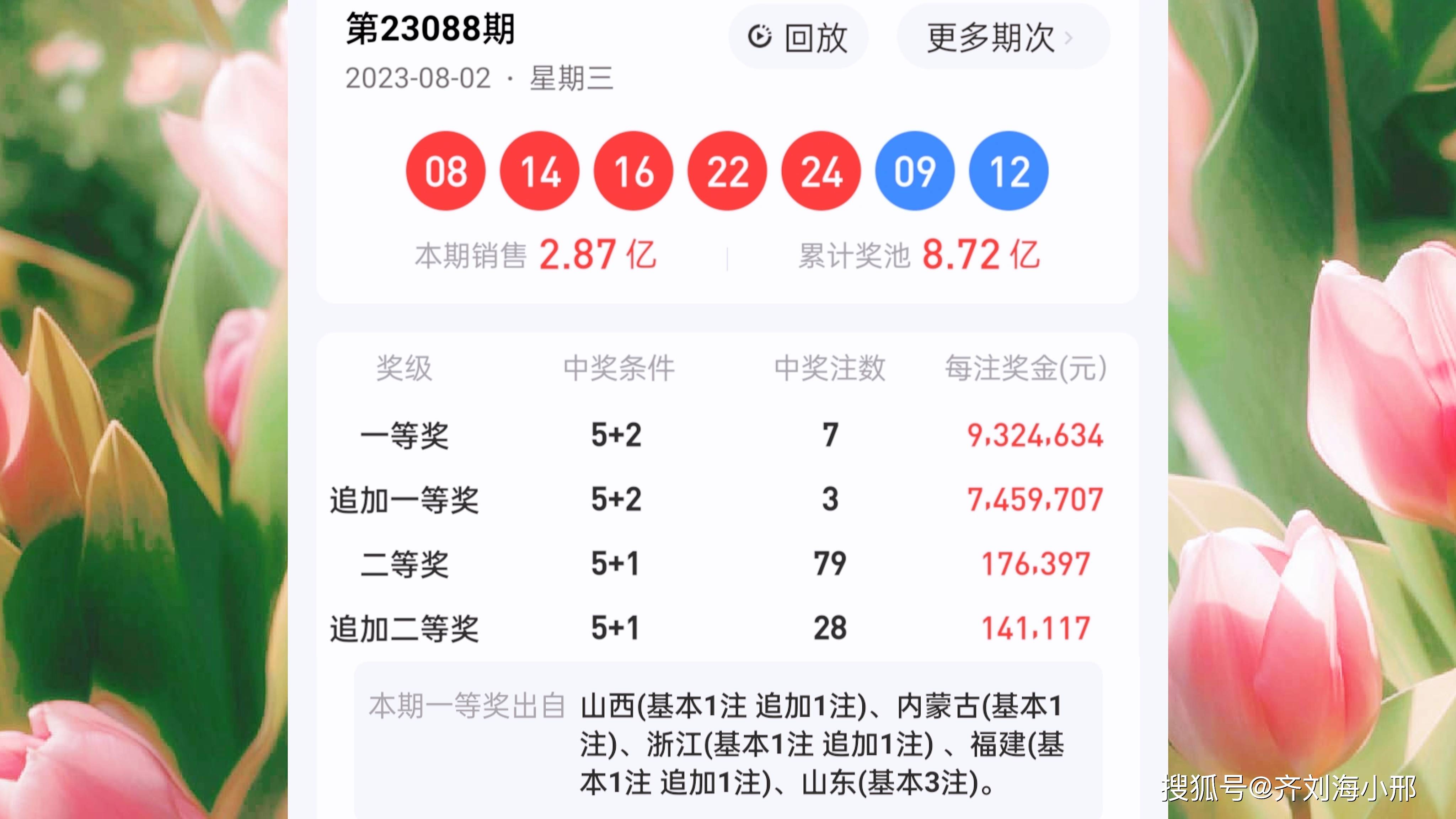 最新開獎結果揭曉，王中王與一肖中的幸運時刻，王中王與一肖中幸運時刻揭曉，最新開獎結果出爐