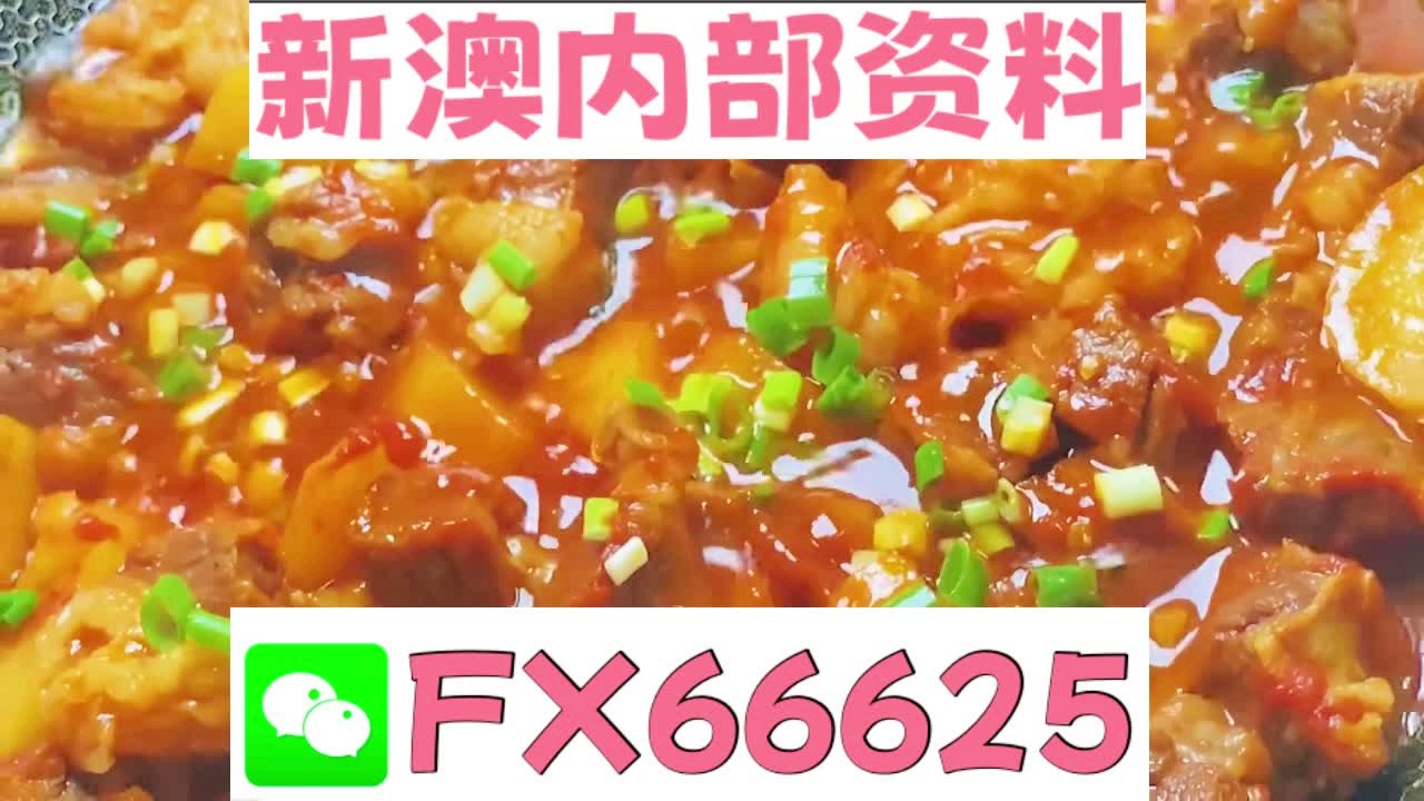 新奧天天免費資料大全——探索與優化的SEO之旅，新奧天天免費資料大全，SEO探索與優化之旅