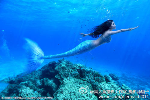澳門美人魚最快開獎結果圖——揭秘熱門彩票游戲背后的秘密，澳門美人魚彩票開獎揭秘，最新結果圖與游戲背后秘密探索