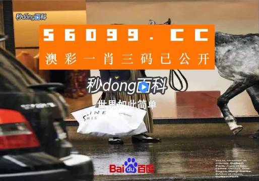 新澳一碼三中三資料，探索與解析，新澳一碼三中三資料解析與探索