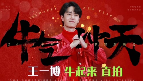 探尋王中王，揭秘發個王中王一肖中特背后的奧秘，揭秘王中王，探尋發個王中王一肖中特背后的神秘奧秘