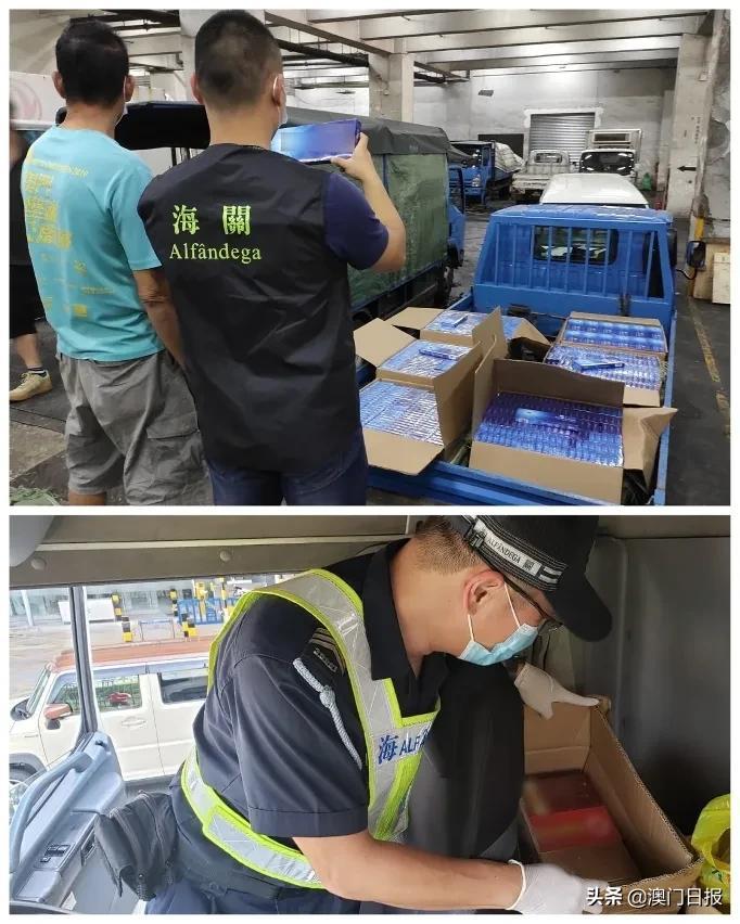 澳門今晚必開一肖080，揭秘生肖運勢與預測之謎，澳門今晚必開一肖揭秘，生肖運勢預測之謎開啟！