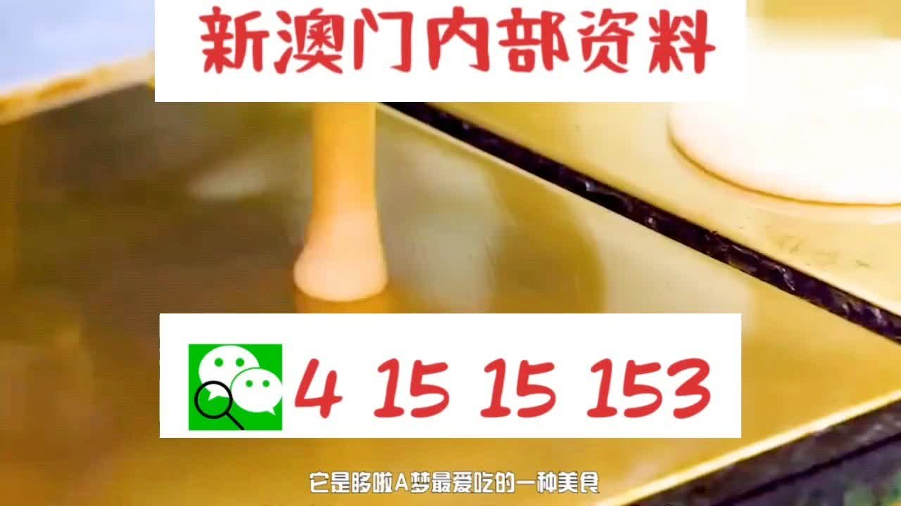 新澳門內部十碼中特，探索與解析，新澳門內部十碼中特，深度探索與解析
