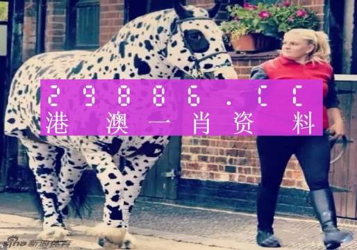 澳彩平肖王中王，一笑一碼的秘密與SEO優(yōu)化策略，澳彩平肖王中王，揭秘一笑一碼背后的SEO優(yōu)化策略