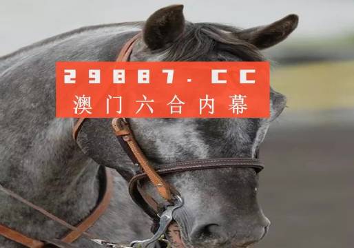 澳門一一碼一特一中準選今晚，探索真實有效的選擇與策略，澳門今晚一特一中準選碼，真實有效的選擇與策略探索
