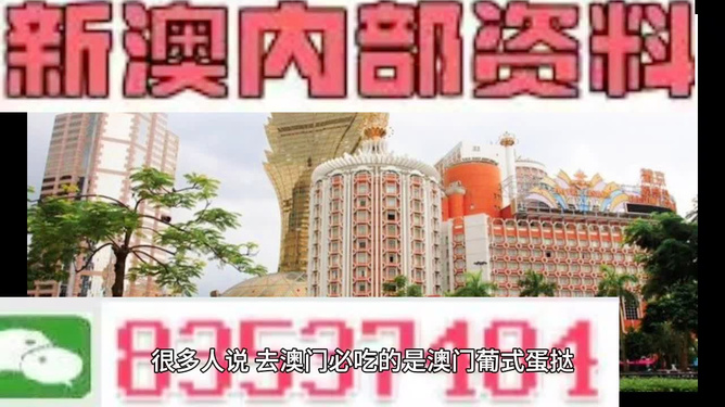 新澳門三中三碼精準預(yù)測，揭秘成功概率背后的秘密與策略（附詳細解析），揭秘新澳門三中三碼成功預(yù)測背后的秘密與策略解析