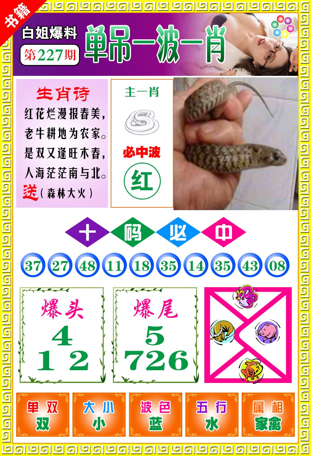 王中王免費開獎一肖結果，揭秘彩票背后的秘密，揭秘王中王彩票開獎內幕，一肖結果背后的秘密揭曉