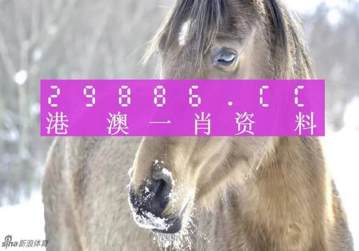澳門一肖一碼背后的故事，精準背后的秘密與傳奇，澳門一肖一碼背后的秘密與傳奇故事揭秘