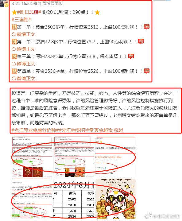 王中王香港一肖，揭秘背后的故事與SEO奧秘，王中王香港一肖背后的故事與SEO奧秘揭秘