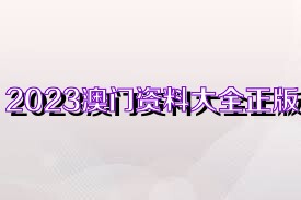 澳門正版免費全年資料大全旅游團，探索澳門文化的絕佳選擇，澳門正版全年資料大全旅游團，探索澳門文化的最佳之旅