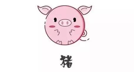 今晚一定出準確生肖預測，揭秘生肖運勢的秘密，揭秘生肖運勢秘密，今晚準確生肖預測揭曉！