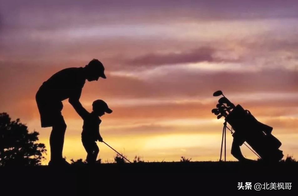 森林高手王中王與神秘生肖——深度解讀背后的故事與秘密，森林高手王中王與神秘生肖，故事背后的深度解讀與秘密探尋