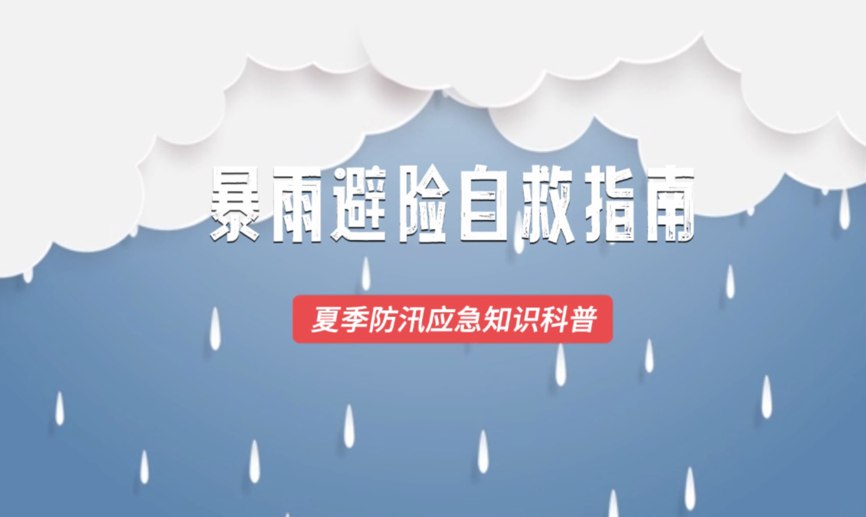澳門六2023開獎結果詳解及預測分析，澳門六開獎結果詳解與預測分析（2023年）