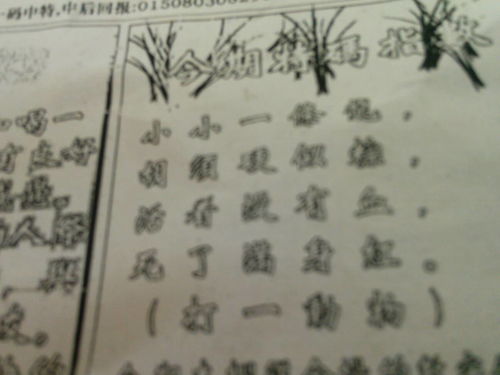 揭秘劉伯溫的一肖一特，探尋神秘傳奇背后的真相，劉伯溫傳奇揭秘，揭秘生肖之謎與獨特特質(zhì)背后的真相
