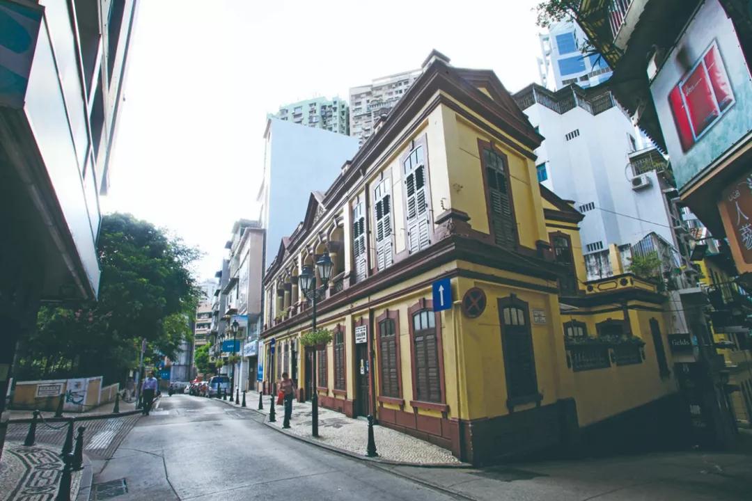 澳門今晚必開一肖，揭秘生肖運勢與預(yù)測邏輯，澳門今晚生肖預(yù)測揭秘，生肖運勢與預(yù)測邏輯分析
