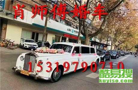 王中王車奪平特一肖免費——深度解析與探索，王中王車奪平特一肖，深度解析與免費探索