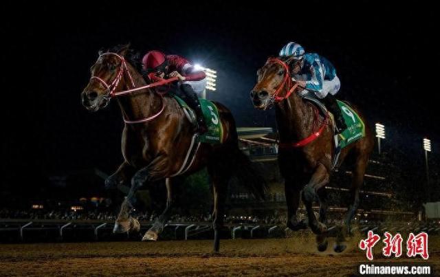 香港王中王一肖中特馬，探索背后的奧秘，香港王中王一肖中特馬背后的奧秘探索