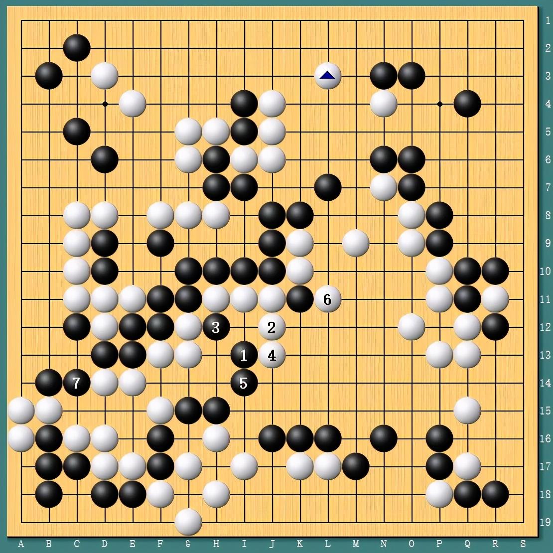 王中王四肖一碼資料論壇，探索與解析，王中王四肖一碼資料論壇，深度探索與解析
