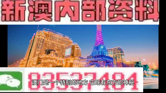 新澳門內部免費資料精準大全——探索澳門資訊的寶庫，澳門資訊寶庫，新澳門內部免費資料精準大全