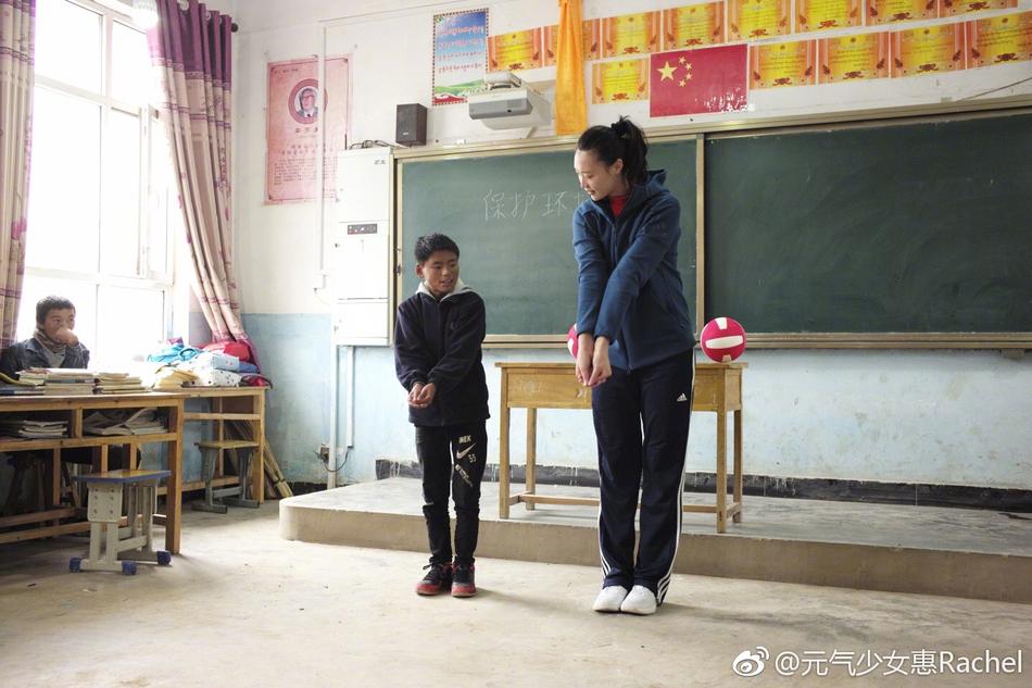 王中王平特一肖一大公開，深度解析與探索，王中王平特一肖公開，深度解析與探索揭秘
